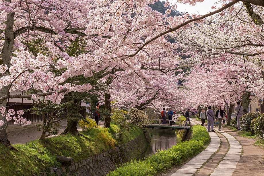 ⛩️ 귤 신사(타치바나 진자) 이미지 6